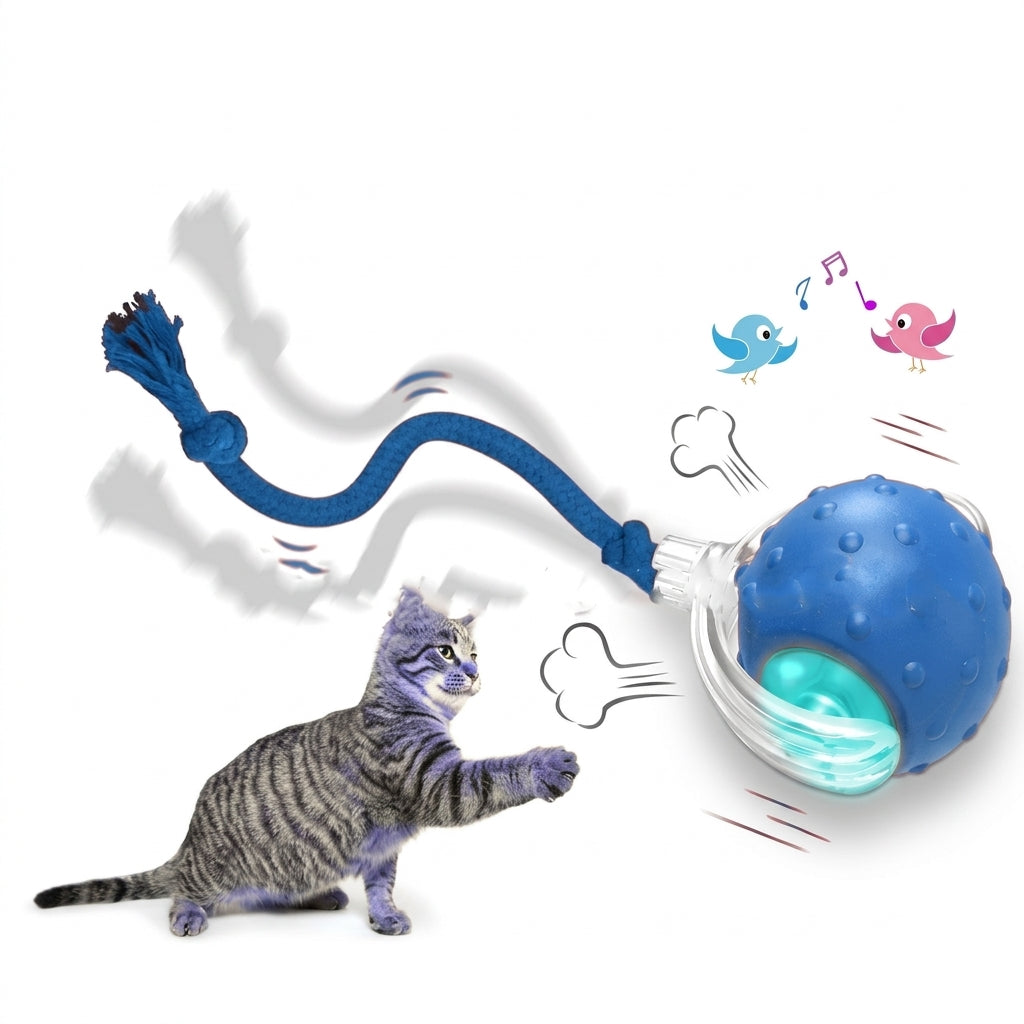 Interactive Cat Toy Ball Super Drive Cat Rolling Balls With
