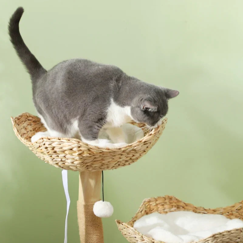 37-Inch Modern Cat Tree – Multi-Level Cat Tower
